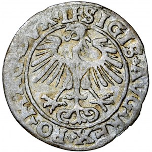 Litwa, Zygmunt August, półgroszek, 1554, men. Wilno