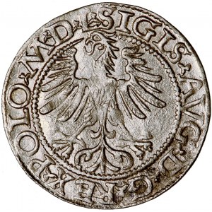 Litwa, Zygmunt August, półgroszek, 1565, men. Wilno