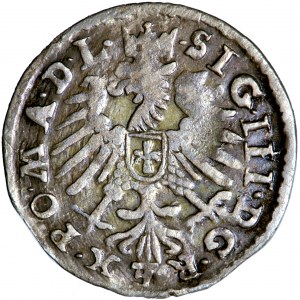 Polska, Zygmunt III, Litwa, grosz, 1609, men. Wilno