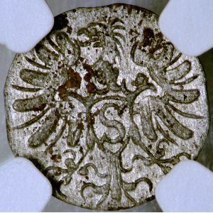 Prusy Książęce, Albrecht, denar, 1571, men. Królewiec
