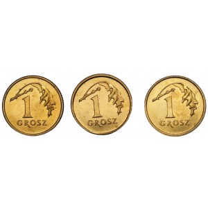 1 grosz (1999-2000) - ODWROTKI - zestaw 3 monet