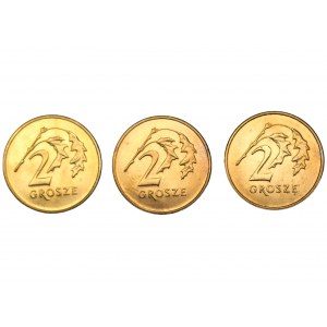 2 grosze (2005 oraz 2006) - ODWROTKI - zestaw 3 sztuk monet