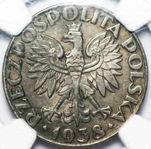 50 halierov 1938 - NGC AU 55 - železo