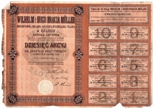 Wilhelm a Hugo Brothers MULLER Merceryzownia, Bielarnia, Dybiarnia, Wykończalnia a Tkalnia in Kalisz S.A., 10x500 zl 1920
