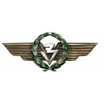 Odznaka 3 Pułk Lotniczy Poznań Ławica wraz z nakrętką - 3 częściowa - RZADKA