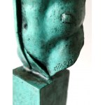 Igor Mitoraj, Torso