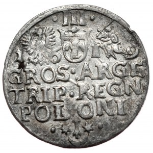 Sigismund III. Wasa, Trojak 1619, Krakau