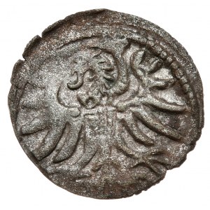 Zygmunt II August, Denar 1557, Elbląg