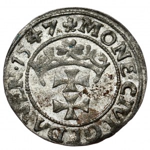 Zygmunt I Stary, szeląg 1547 POLON, Gdańsk
