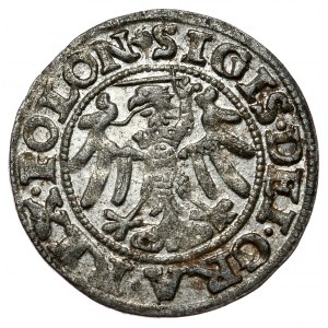 Zygmunt I Stary, szeląg 1547 POLON, Gdańsk