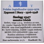 Zygmunt I Stary, szeląg 1547 POLON, Gdańsk