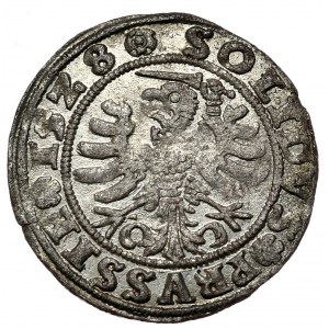 Zygmunt I the Old, 1528 shekel, Torun