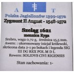 Zygmunt III Waza, szeląg 1621, Ryga