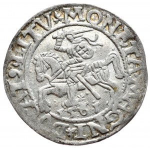 Sigismund II Augustus, Half-penny 1561, Vilnius - L/LITV