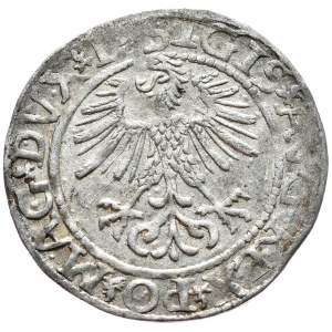 Sigismund II Augustus, Half-penny 1561, Vilnius - L/LITV