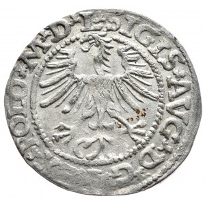 Sigismund II Augustus, Half-penny 1564, Vilnius - L/LITV