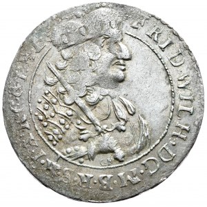 Prusy (księstwo), Fryderyk Wilhelm, ort 1684 HS, Królewiec, P.E L., GR pod popiersiem