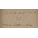 Gossia Zielaskowska (nar. 1983, Poznaň), Mapa barevných polí, 2023