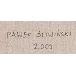 Pawel Sliwinski (b. 1984, Chelm), Untitled, 2009