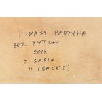 Tomasz Partyka (ur. 1978, Grudziądz), Bez tytułu z serii Cracks, 2014