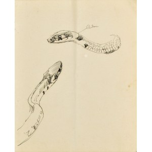 Jacek MALCZEWSKI (1854-1929), Sketches of a snake, May 5, 1891