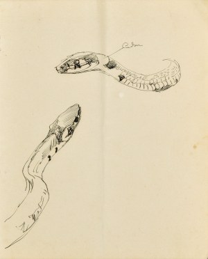 Jacek MALCZEWSKI (1854-1929), Szkice węża, 5 maj 1891