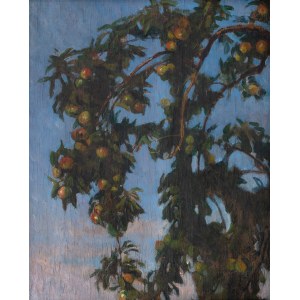 Edward Okuń (1872 Wólka Zerzeńska - 1945 Skierniewice), Gałęzie jabłoni