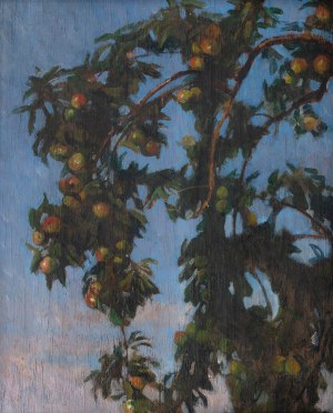 Edward Okuń (1872 Wólka Zerzeńska - 1945 Skierniewice), Gałęzie jabłoni
