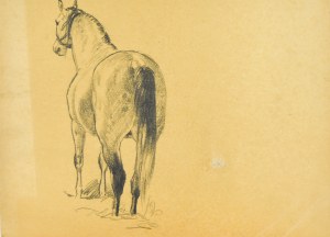 Ludwik MACIĄG (1920-2007), Koń ukazany z tyłu