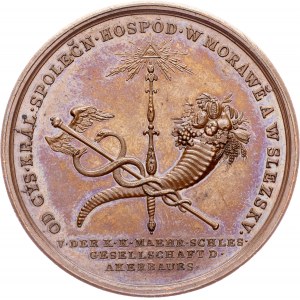 Bohemia, Medal 1816, Weiss