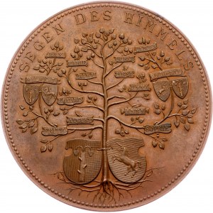 Karoline and Maximilian von Lutz, Medal 1891, A. Börsch