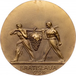 Czechoslovakia, Medal 1931, Pospíšil Jozef