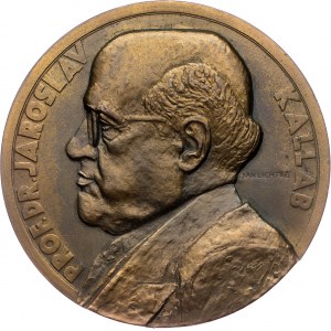 Czechoslovakia, Medal 1939, Lichtág Jan