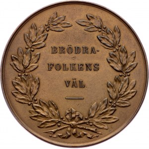 Sweden, Medal 1873, Ahlborn Lea