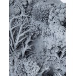 Marcin Rusak (geb. 1987, Warschau), Tephra-Skulptur 04