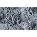 Marcin Rusak (geb. 1987, Warschau), Tephra-Skulptur 04