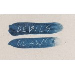 Izabela Wilk \ Devils Claws, Talerz Łabądź, 2023