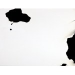 Studio Speculo, Float Series Mirror