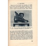Jankowski Jan- Skating [photo montage][figure skating,field hockey,ice skating tracks].