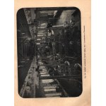 Polska obrazy i opisy. T.I-II [Lwów 1906-1909]