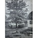 Tygodnik ilustrowany [pierwodruk Chłopów][oprawa J.F.Puget]