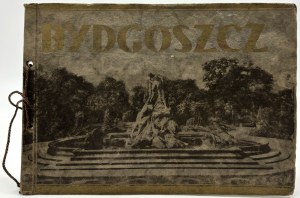 Album of Bydgoszcz: 16 artistic engraving boards (photo of the first Polish monument in honor of Henryk Sienkiewicz)(rare)