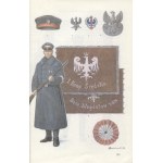 BARW und Waffen der Streitkräfte von Großpolen in den Jahren 1918-1920. Koszalin 1988....