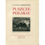 OSSENDOWSKI, Ferdynand Antoni - Puszcze polskie. Poznań [1936], Wyd. Polskie . 21 cm, s. 234, [6]...