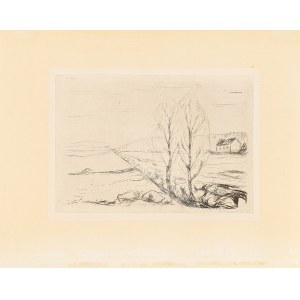 Edvard Munch (1863 - 1944), Norwegische Landschaft, 1908