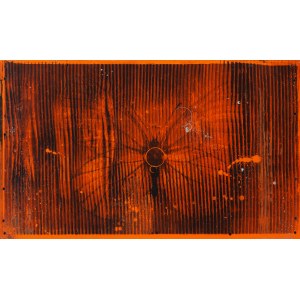Bartłomiej Stypka (ur. 1983, Częstochowa), Papilio radiator in orange, 2023