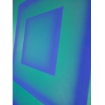 Magda Żak, Symbióza farieb 2