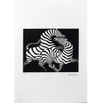 Victor Vasarely (1906-1997), Zebra