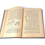 PRAWOCHEŃSKI- POCHODZENIE, POKRÓJ I RASY KONI; HODOWLA, WYCHÓW I UŻYTKOWANIE KONI1922