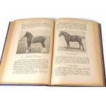PRAWOCHEŃSKI- POCHODZENIE, POKRÓJ I RASY KONI; HODOWLA, WYCHÓW I UŻYTKOWANIE KONI1922